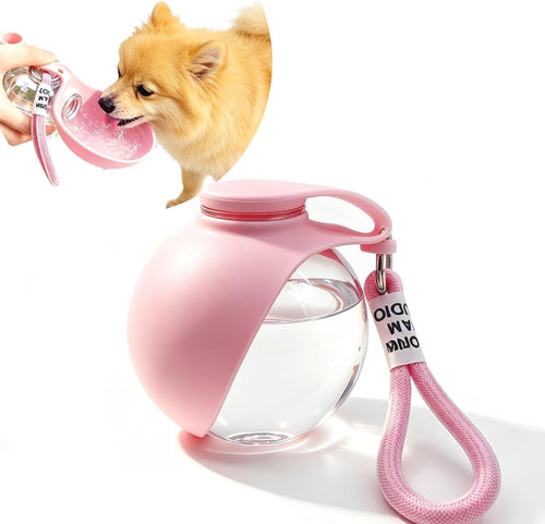 2-in-1 Portable Dog Water Bottle with Foldable Bowl