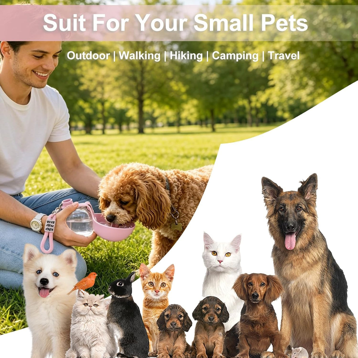 2-in-1 Portable Dog Water Bottle with Foldable Bowl
