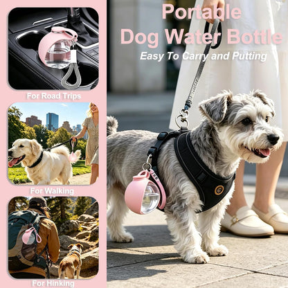 2-in-1 Portable Dog Water Bottle with Foldable Bowl